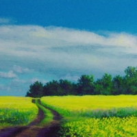 dirt-road-canola