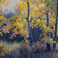 fall-aspen-fenceline