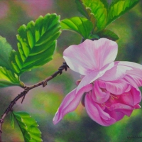 flirtatious-plum-flower-web