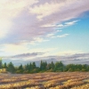 harvest-crunch-time2