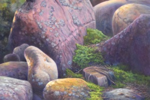 Nature Up Close
