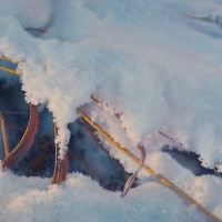 Under-the-Solstice-Sun-nsltr