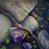 summer-garden-rocks