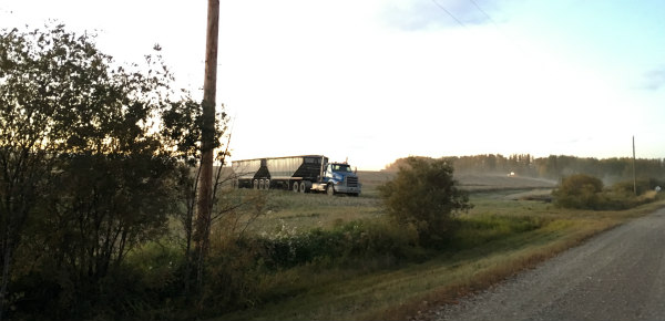 Truck is waiting for more canola seeds!