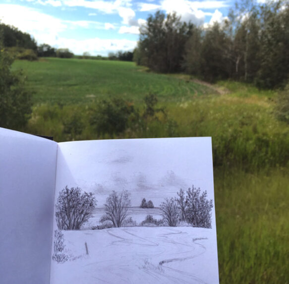 Drawn to Sketch Local