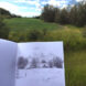 Drawn to Sketch Local