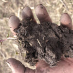 Make Room For Dirt