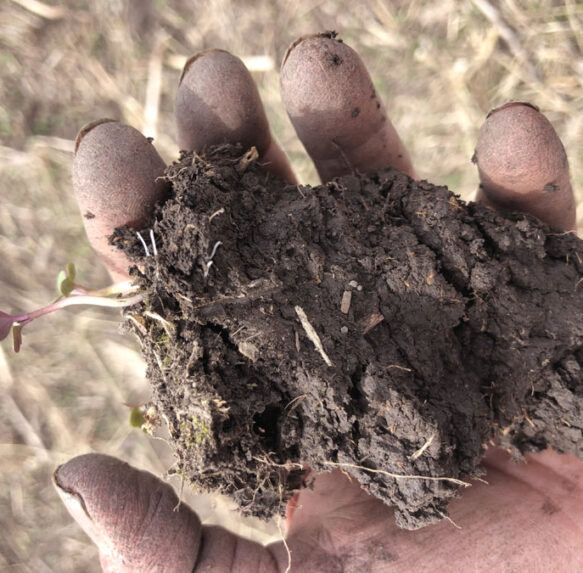 Make Room For Dirt